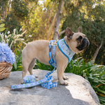 Frenchie Duo Reversible Harness - Hydrangea