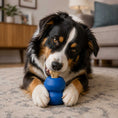 Load image into Gallery viewer, Double Trouble Dog Toy - Dual Chamber Treat Dispenser for Large Dogs | USA Made