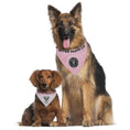 Load image into Gallery viewer, Inter Miami CF Reversible Pet Bandana