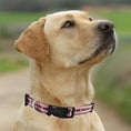 Load image into Gallery viewer, Inter Miami CF Satin Collar