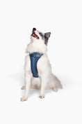 Load image into Gallery viewer, Harness - Southlake Paws