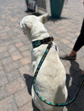 Load image into Gallery viewer, TKC Peacock Argyle Beaded Dog Collar