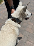 Load image into Gallery viewer, TKC Nairobi Beaded Dog Collar
