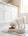 Load image into Gallery viewer, White Chewy Vuiton Bowls