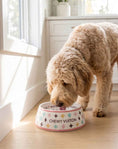 Load image into Gallery viewer, White Chewy Vuiton Bowls