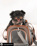 Mr. Peanut's Gold Series Standard Size Airline Compliant Pet Carrier