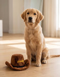 Load image into Gallery viewer, Brown Cowboy Hat | Squeaky Plush Dog Toy with Crinkle & Mesh Lining