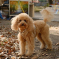 Load image into Gallery viewer, Tan - Comfort Dog Harness