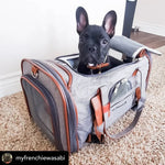 Mr. Peanut's Gold Series Standard Size Airline Compliant Pet Carrier