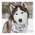 Load image into Gallery viewer, Marlowe Dog Bandana