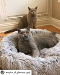 Load image into Gallery viewer, Mr. Peanut's 28" OrthoPlush® Pet Bed - Snowflake White Two Tone
