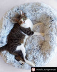 Load image into Gallery viewer, Mr. Peanut's 28" OrthoPlush® Pet Bed - Snowflake White Two Tone