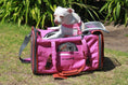Load image into Gallery viewer, Mr. Peanut's Gold Series Standard Size Airline Compliant Pet Carrier