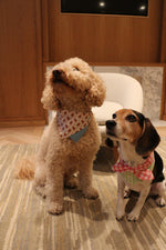 Gingerbread Man Joy Handmade Bandana