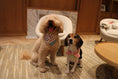 Load image into Gallery viewer, Gingerbread Man Joy Handmade Bandana