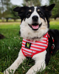 Load image into Gallery viewer, EcoBark Custom-Fit Harness & Leash Combo - Red Stripe
