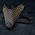 Load image into Gallery viewer, The "Gladiator" harness Gold/Silver