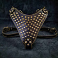 Load image into Gallery viewer, The "Gladiator" harness Gold/Silver