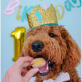 Load image into Gallery viewer, Happy Birthday Dog Treats Gift Box