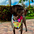Load image into Gallery viewer, Tropical Miami Yellow Bandana Dog Collar With Bow - Southlake Paws