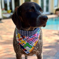 Load image into Gallery viewer, Madras Bandana Dog Collar
