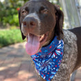 Load image into Gallery viewer, Fireworks Bandana Dog Collar - Southlake Paws