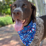 Fireworks Bandana Dog Collar
