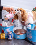 Load image into Gallery viewer, Belly Rub Blush Watermelon Dog Water