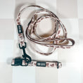 Load image into Gallery viewer, Teddy Bear Collar & Leash Set