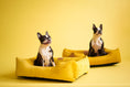 Load image into Gallery viewer, Corduroy Dog Bed Dreamer - Southlake Paws