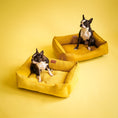 Load image into Gallery viewer, Corduroy Dog Bed Dreamer - Southlake Paws