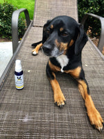 Wet Kiss Dog Cologne By Warren London - 2 Oz or 16 Oz