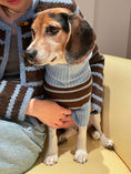 Load image into Gallery viewer, Bluebell Stripes Sweater