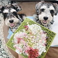 Load image into Gallery viewer, Jigsaw Puzzle eMat - Enrichment Lick Mat for Dogs and Cats | eMat Enrichment Toy for Anxiety Relief | USA Made