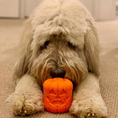 Load image into Gallery viewer, Jack O' Lantern Dog Toy - Durable Halloween Chew Toy for Large Dogs | USA Made