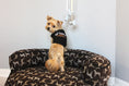 Load image into Gallery viewer, Parisian Pet 'Got Treats?' Novelty Dog Apparel – Fun Embroidered Pet Wear for Dogs & Cats, Black