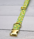 Load image into Gallery viewer, Daffodil Meadow Collar