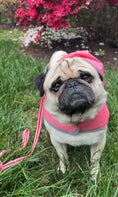 Load image into Gallery viewer, IZOD Pet - Packable Raincoat