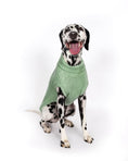 Load image into Gallery viewer, Mint Super Chunky Sweater - Southlake Paws