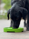 Load image into Gallery viewer, Garden Design eTray - Shallow Slow Feeder Dog Bowl for Enrichment | USA