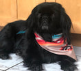Load image into Gallery viewer, Sport Bandana - Turquoise Sky/Sky Fire