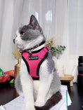 Load image into Gallery viewer, Mr. Peanut's PurrTrek Reflective Cat Harness with Matching Leash - Southlake Paws