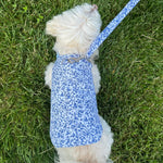 Blue Floral Toile Harness