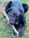 Load image into Gallery viewer, Durable Nylon Chew Stick for Power Chewers | Indestructible Dog Toy USA