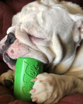 Load image into Gallery viewer, Can Toy eDispenser Durable Rubber Chew Toy & Treat Dispenser - Average Chewer