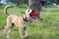 Load image into Gallery viewer, USA-K9 Firecracker Durable Rubber Floating Training Dummy - Large - Red