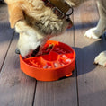 Load image into Gallery viewer, Great Outdoors eBowl - Slow Feeder Dog Bowl & Enrichment | USA Made