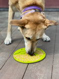 Load image into Gallery viewer, Tree of Life eMat by Southlake Paws, a green enrichment lick mat with suction cups, used by a dog on a wooden surface.