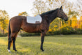 Load image into Gallery viewer, Jump Saddle Pad | Chrome