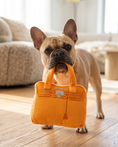 Load image into Gallery viewer, Barkin Bag - Orange | Squeaky Plush Dog Toy with Crinkle & Mesh Lining